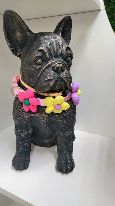 Multicolor Floral Collar